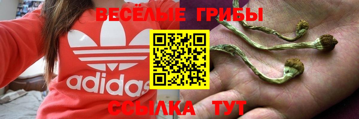 Псилоцибиновые грибы мухоморы  Вход с VPN  Буйнакск 
